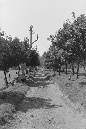 11 Omar Véliz - Ilford FP4 125 Plus por Arca Film Lab (Mayo 2024) - Rollo 0060