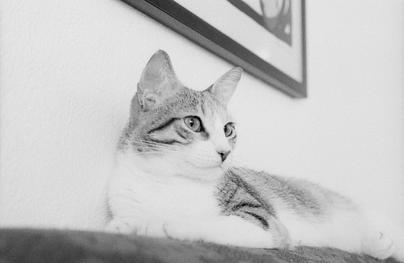18 Valeria Minera - Kentmere Pan 400 por Arca Film Lab (Abril 2025) - Rollo 0960