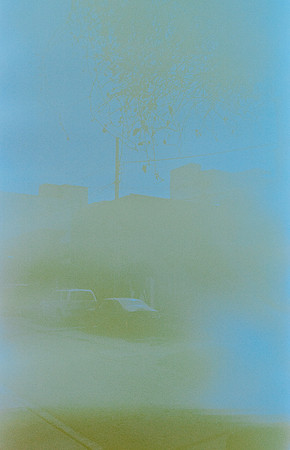 25 Gabriela Retana - Kodak Gold 200 por Arca Film Lab (Mayo 2025) - Rollo 1013