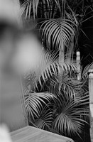 01 Lalo Quintero - Ilford XP2 400 por Arca Film Lab (Junio 2025) - Rollo 1161