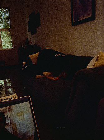 19 Sebastián Barillas - Kodak Ultramax 400 por Arca Film Lab (Febrero 2025) - Rollo 0784