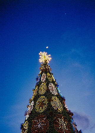 32 Steve Palma - Fujifilm 400 por Arca Film Lab (Enero 2025) - Rollo 0628