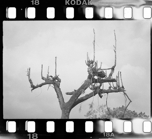 18 Roger Feoli - Kodak TMAX 400 por Arca Film Lab (Mayo 2025) - Rollo 1031