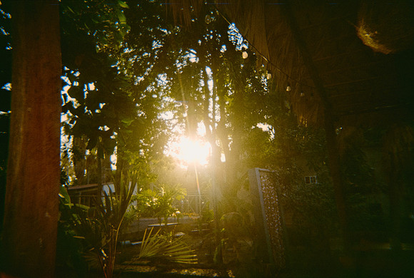 25 Gaby Rodríguez - Kodak Gold 200 por Arca Film Lab (Febrero 2025) - Rollo 0852