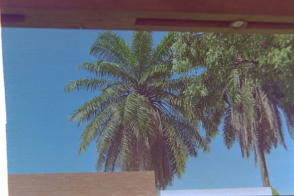 17 Christian Arriola - Kodak Gold 200 por Arca Film Lab (Agosto 2024) - Rollo 0232