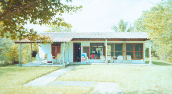 14 Alexander Daum - Kodak Gold 200 por Arca Film Lab (Abril 2025) - Rollo 0899