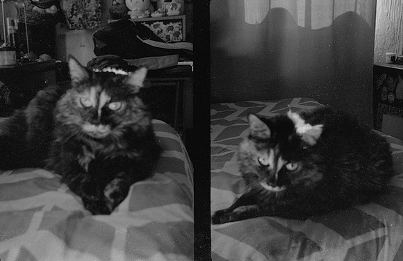 10 Natalia Mendoza - Kentmere Pan 400 por Arca Film Lab (Enero 2025) - Rollo 0696
