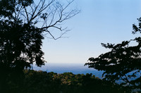 10 Harry Leath - Kodak Gold 200 por Arca Film Lab (Marzo 2025) - Rollo 0816