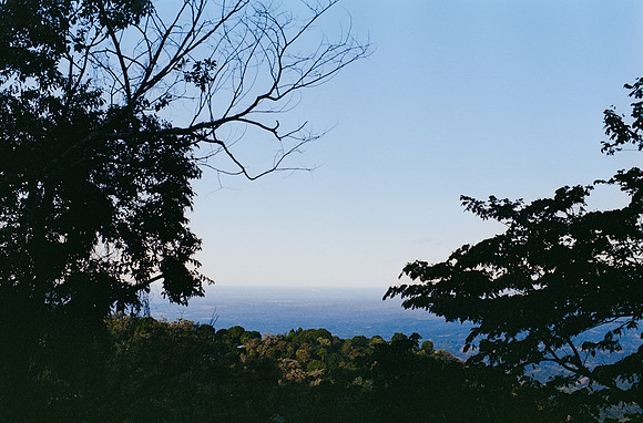 10 Harry Leath - Kodak Gold 200 por Arca Film Lab (Marzo 2025) - Rollo 0816