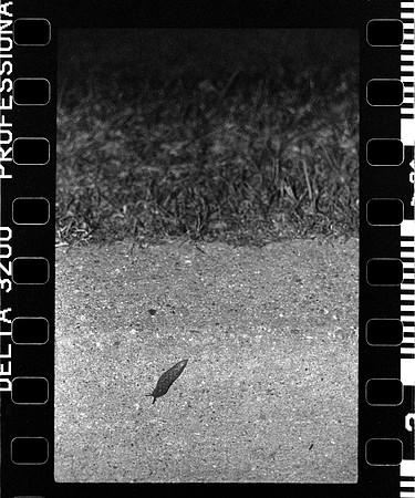 03 Fernanda González - Ilford Delta 3200 Push 12800 - Arca Film Lab (Mayo 2024) - Rollo 0050