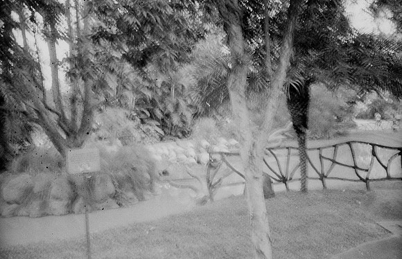 05 Kristel Calderón - Kentmere Pan 400 por Arca Film Lab (Enero 2025) - Rollo 0640