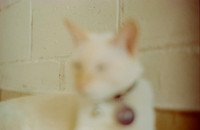 19 Abraham Castillo - Fujifilm 400 por Arca Film Lab (Junio 2025) - Rollo 1118