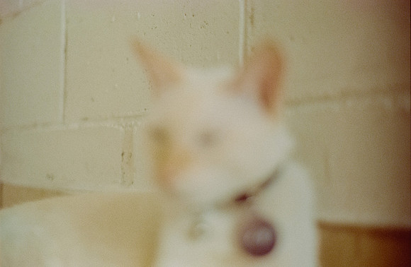 19 Abraham Castillo - Fujifilm 400 por Arca Film Lab (Junio 2025) - Rollo 1118