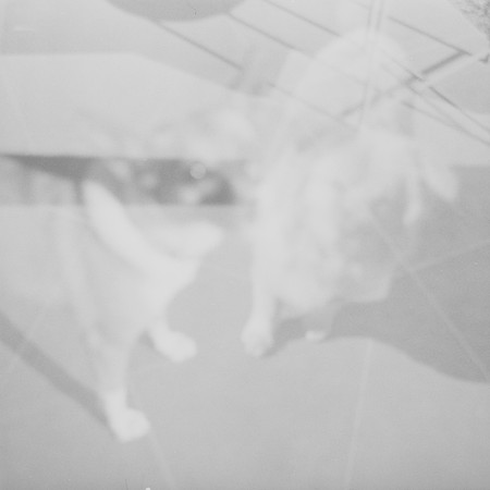 10 Krista Ramirez - Iford HP5+ 400 por Arca Film Lab (Mayo 2025) - Rollo 0970