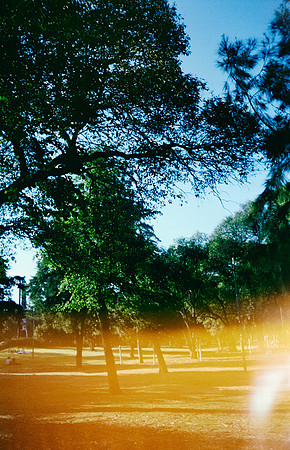 10 Gabriela Retana - Kodak Gold 200 por Arca Film Lab (Mayo 2025) - Rollo 1013