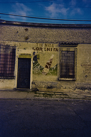 18 Marysol Dávila - Kodak Ultramax 400 por Arca Film Lab (Diciembre 2024) - Rollo 0549