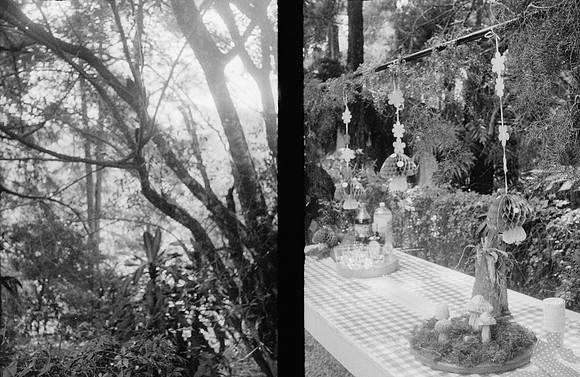 34 María Elena Santa Cruz - Ilford HP5 400 por Arca Film Lab (Febrero 2025) - Rollo 0780