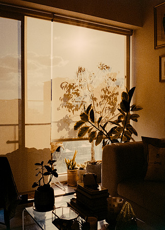 76 Steve Palma - Fujifilm 400 por Arca Film Lab (Enero 2025) - Rollo 0628