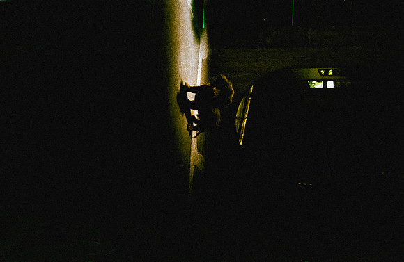 25 Rodrigo Cano - Fujifilm 200 por Arca Film Lab (Julio 2024) - Rollo 0178