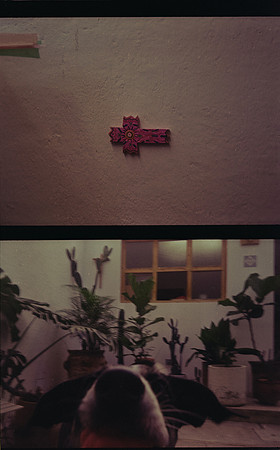 15 Guillermo Durán - Kodak Gold 200 por Arca Film Lab (Agosto 2024) - Rollo 0212