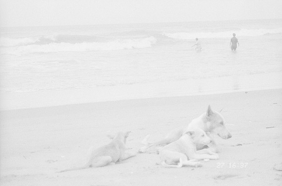 32 Elena Campos - Ilford HP5+ 400 por Arca Film Lab (Junio 2025) - Rollo 1114