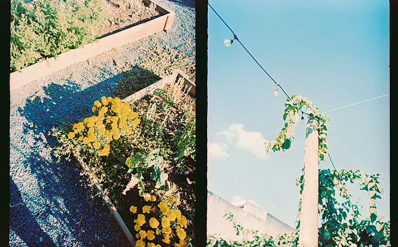 35 Roberto Samayoa - Fujifilm Provia 100F por Arca Film Lab (Mayo 2025) - Rollo 1002