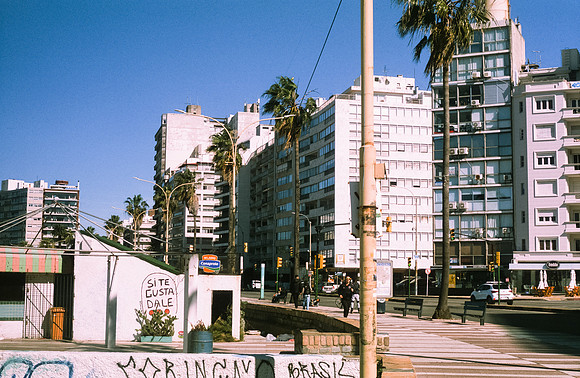 15 Marcelo Domínguez - Fujifilm Provia 100F por Arca Film Lab (Noviembre 2024) - Rollo 0483