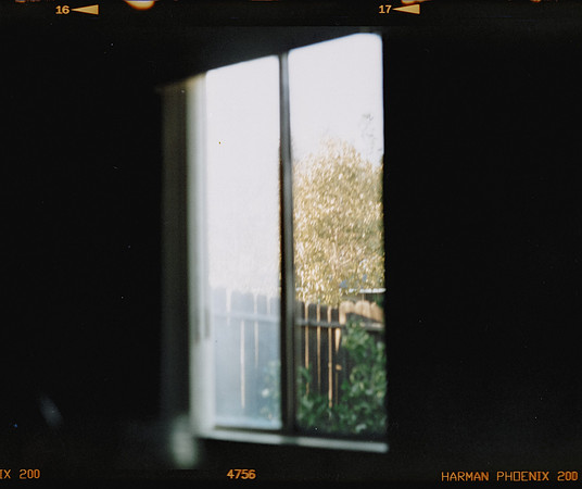 09 Mauricio Salguero - Harman Phoenix 200 - 120 por Arca Film Lab (Noviembre 2024) - Rollo 0497