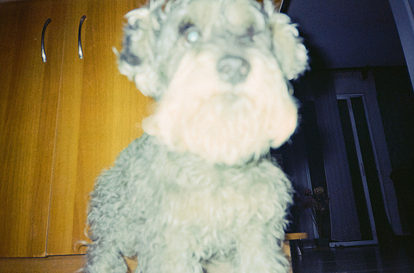 17 José Vásquez - Kodak Gold 200 por Arca Film Lab (Enero 2025) - Rollo 0668