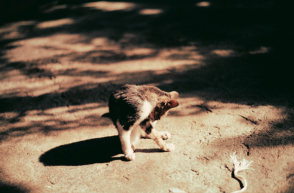 13 Emerson Quintanilla - Fujifilm 200 por Arca Film Lab (Abril 2025) - Rollo 0907