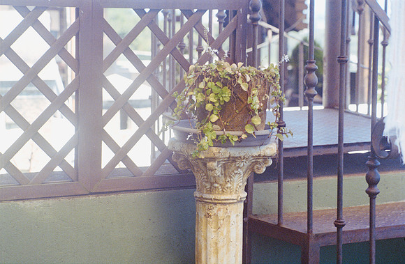 06 Ronald Ottoniel - Fujifilm Provia 100F por Arca Film Lab (Diciembre 2024) - Rollo 0535