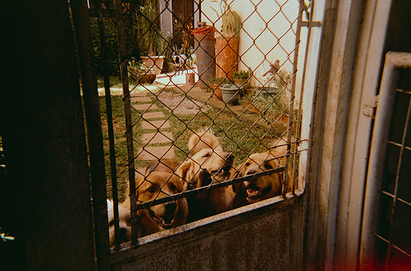 07 María Andrea Santa Cruz - Cinestill 400D por Arca Film Lab (Noviembre 2024) - Rollo 0466