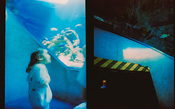 10 Roberto Samayoa - Fujifilm Provia 100F por Arca Film Lab (Mayo 2025) - Rollo 1002