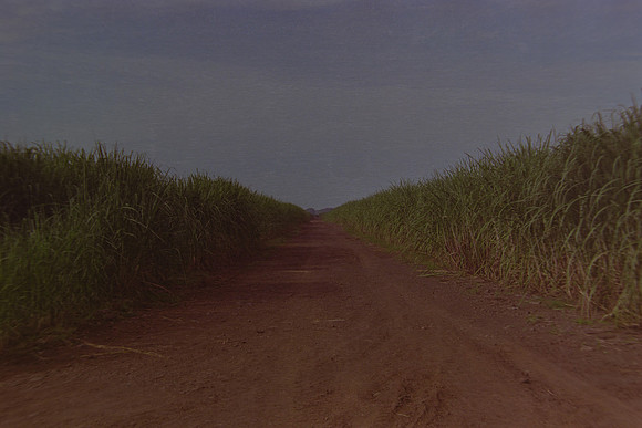 23 Christian Arriola - Kodak Gold 200 por Arca Film Lab (Agosto 2024) - Rollo 0232