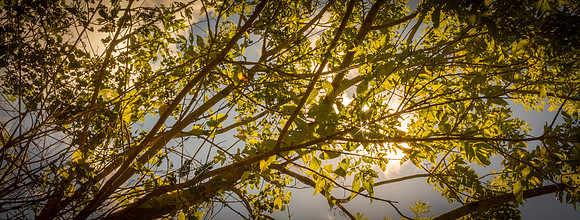 En busqueda de la luz