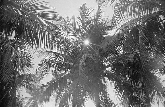 20 Marcelo Domínguez - Ilford HP5+ 400 por Arca Film Lab (Septiembre 2024) - Rollo 0347