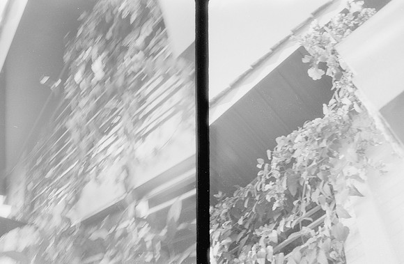 37 Natalia Mendoza - Kentmere Pan 400 por Arca Film Lab (Enero 2025) - Rollo 0696