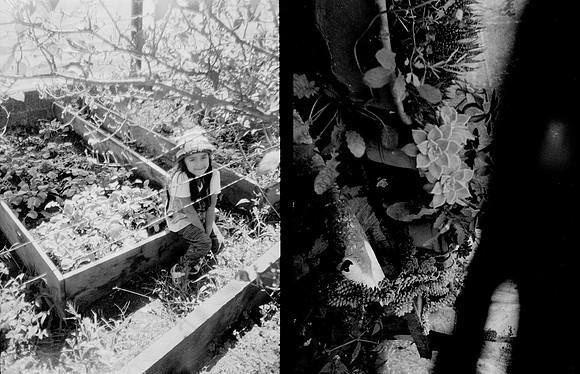 21 Melissa Paises - Ilford HP5+ 400 por Arca Film Lab (Febrero 2025) - Rollo 0686