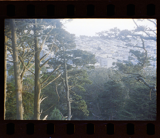 21 Fernanda Gonzáles - Reflx Lab 800T Push 3200 por Arca Film Lab (Mayo 2024) - Rollo 0049