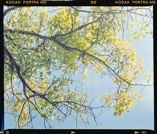 08 Mauricio Salguero - Kodak Portra 400 por Arca Film Lab (Marzo 2025) - Rollo 0688