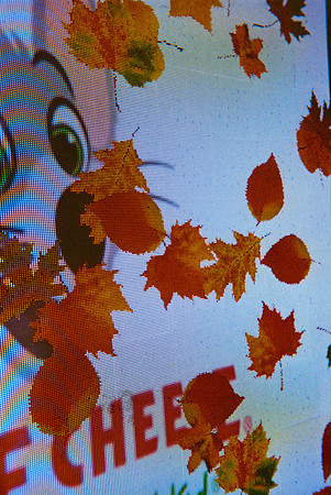 07 Julissa Ortega - Kodak Ultramax 400 por Arca Film Lab (Mayo 2025) - Rollo 1023