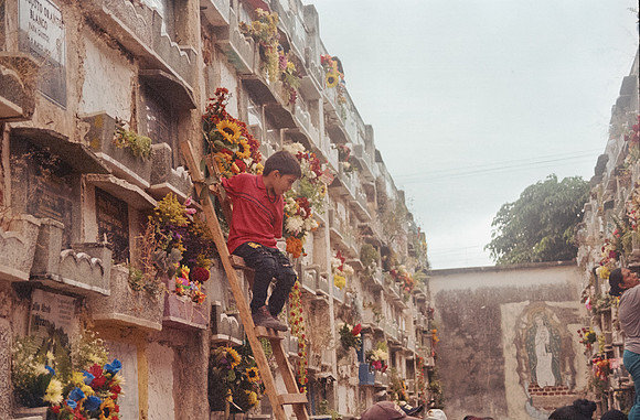 29 Isha Morales - Kodak Gold 200 por Arca Film Lab (Octubre 2024) - Rollo 0433