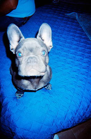 17 Diana Roca - Fujifilm 400 por Arca Film Lab (Mayo 2025) - Rollo 1052