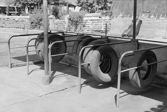 01 Omar Véliz - Ilford FP4 125 Plus por Arca Film Lab (Mayo 2024) - Rollo 0060