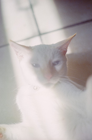 26 Abraham Castillo - Fujifilm 400 por Arca Film Lab (Junio 2025) - Rollo 1118