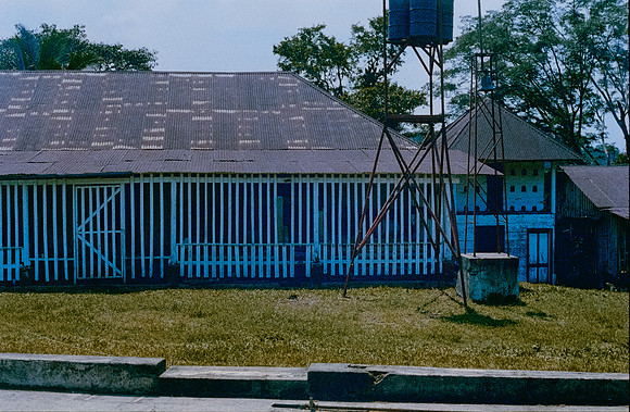 14 Alexander Daum - Kodak Ultra 200 por Arca Film Lab (Abril 2025) - Rollo 0901