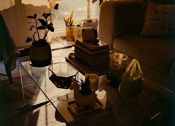 77 Steve Palma - Fujifilm 400 por Arca Film Lab (Enero 2025) - Rollo 0628