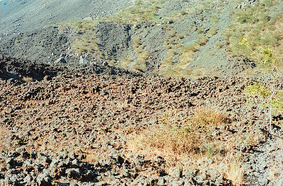 36 Gerardo Recinos - Kodak Aerocolor IV por Arca Film Lab (Abril 2025) - Rollo 0938