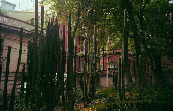 14 Jazmine Sousa - Kodak Ultramax 400 por Arca Film Lab (Julio 2024) - Rollo 0202