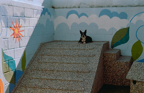 20 Denis Guerrero - Kodak Gold 200 por Arca Film Lab (Agosto 2024) - Rollo 0296